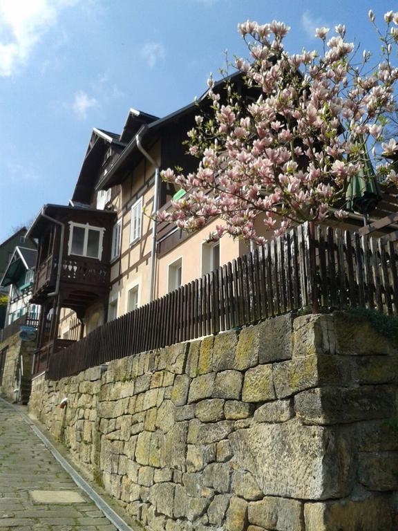 Apartamento Wehlener Landhaus In Stadt Wehlen, Saechsische Schweiz Exterior foto